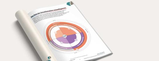 Insights Emotionale Intelligenz
