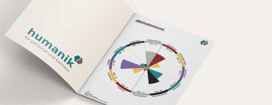 Insights Motivationsanalyse